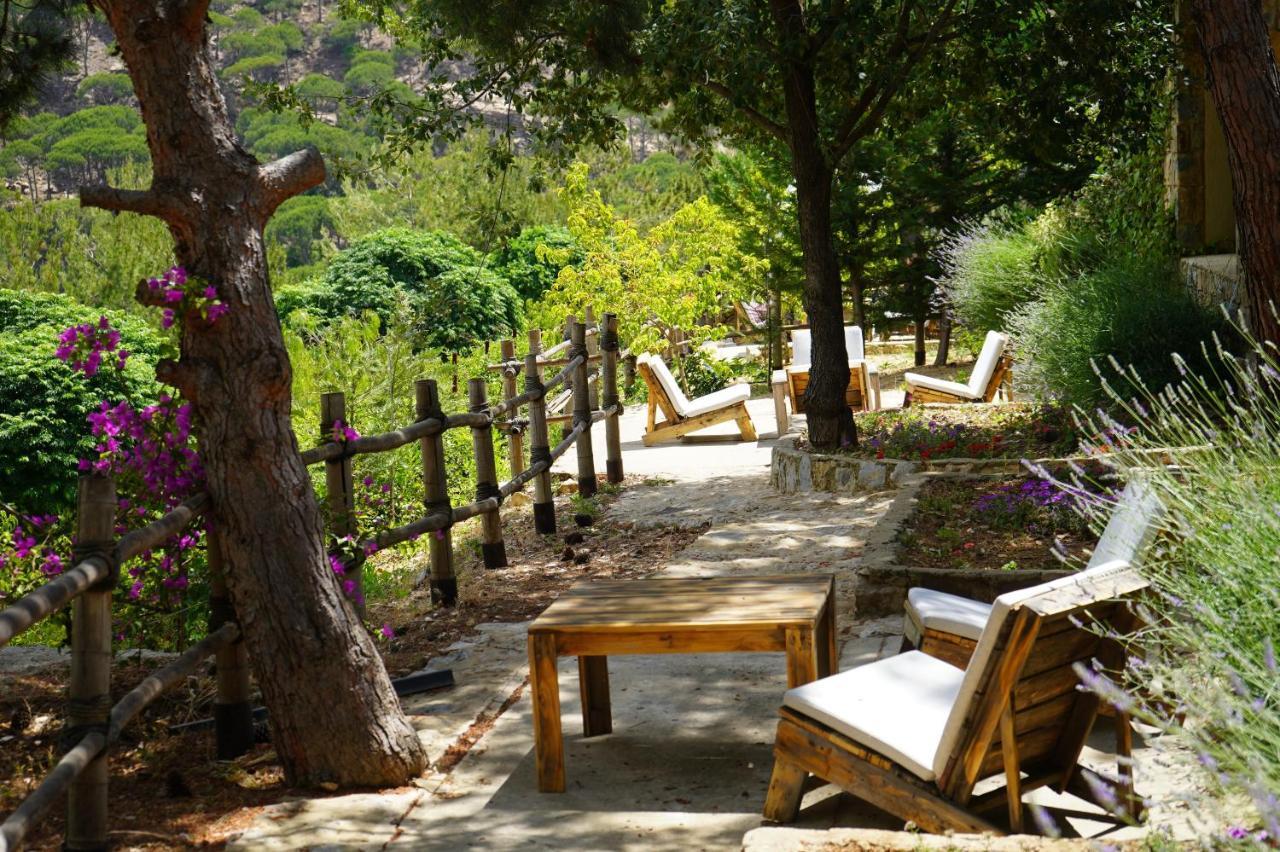 Blue Jay Valley Jezzîne Exteriör bild