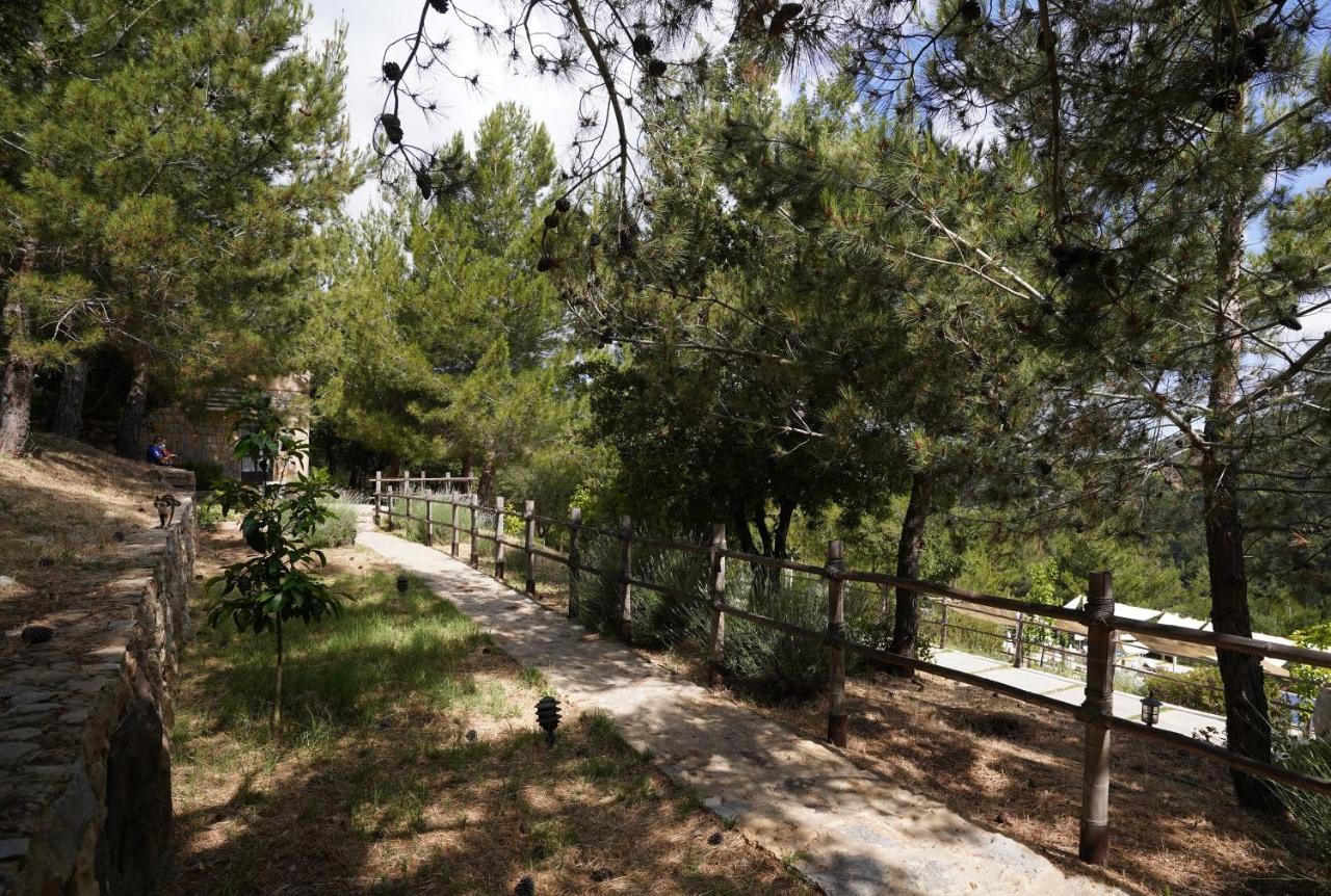 Blue Jay Valley Jezzîne Exteriör bild